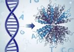 DNA to Amino Acid Converter – Free & Online Sequence Translator