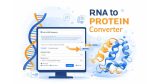 RNA to Protein Translator – Best Online RNA to Protein Converter