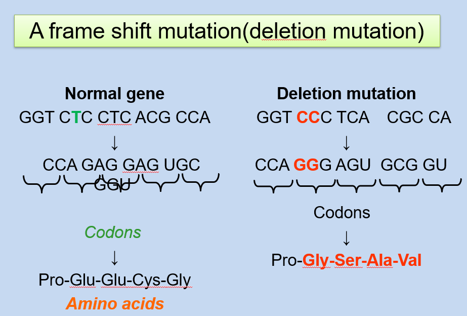 deletion mutation