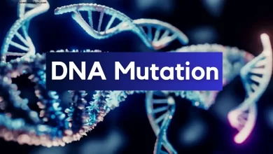 gene mutation