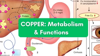 Metabolism & Functions of copper in the body