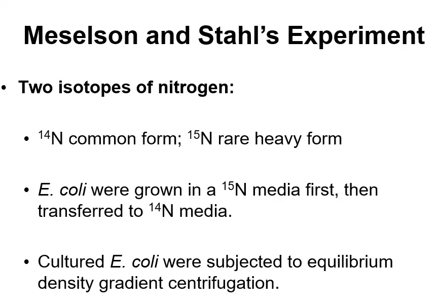 The Meselson And Stahl's Experiment