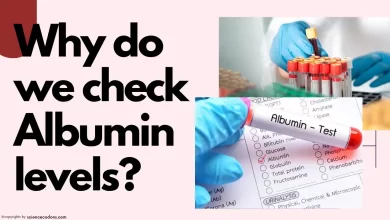 Why do we check albumin levels