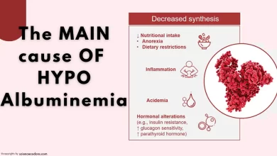 the main cause of hypoalbuminemia