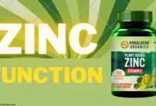 zinc function