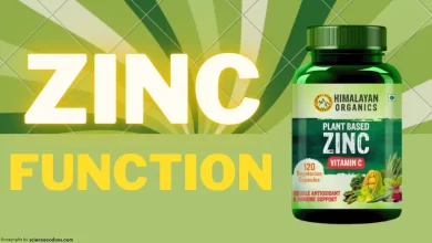 zinc function