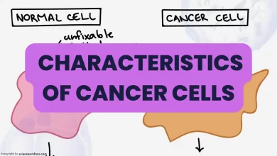 10 characteristics(hallmarks) of cancer cells