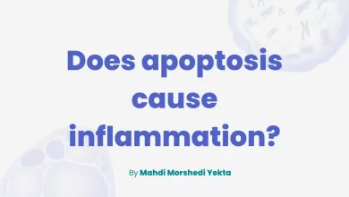 Does apoptosis cause inflammation