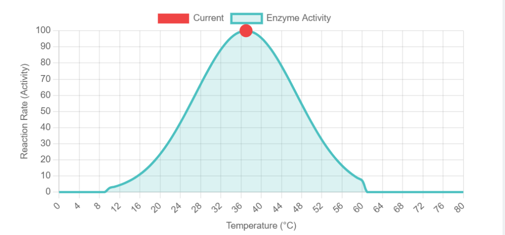 Effect of temperature on catalase activity