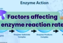 Factors affecting enzyme reaction rate