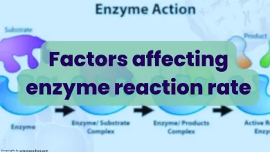 Factors affecting enzyme reaction rate