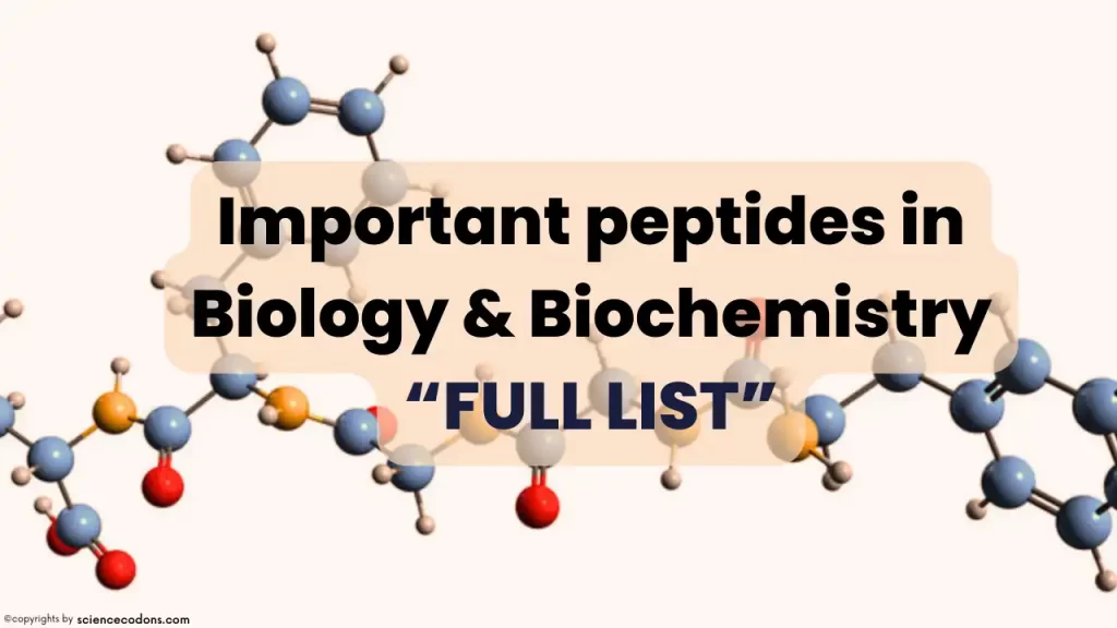 Important peptides in biology & biochemistry and their functions