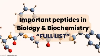 Important peptides in biology & biochemistry and their functions