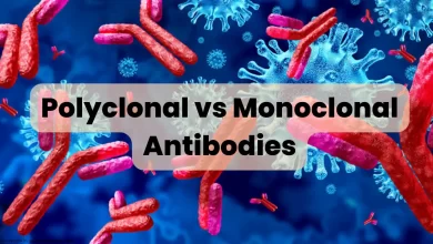 Polyclonal vs Monoclonal Antibodies