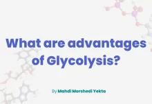 advantages of glycolysis