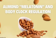 Almond and body clock regulation
