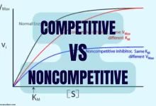 Competitive vs noncompetitive inhibition enzyme