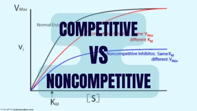 Competitive vs noncompetitive inhibition enzyme