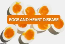 Eggs and heart disease