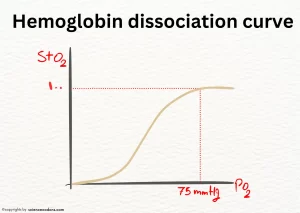 Hemoglobin dissociation curve