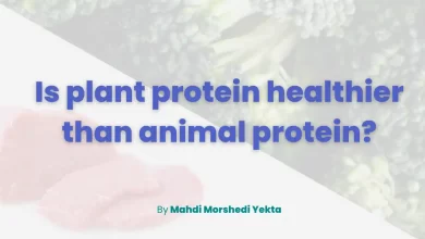 Is plant protein healthier than animal protein