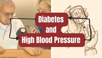 Relationship Between Diabetes and High Blood Pressure