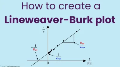 Creating a Lineweaver-Burk plot from Michaelis-Menten