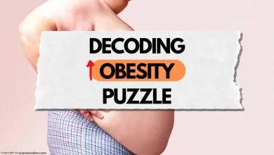 Decoding Obesity Puzzle