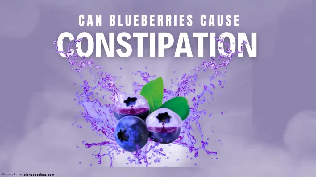 can blueberries cause constipation