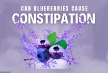 can blueberries cause constipation