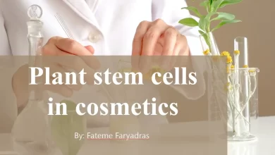 Plant Stem Cells in Cosmetics