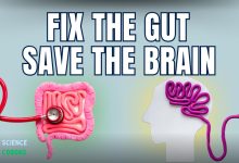 The-Secret-Role-of-Your-Gut-in-Stroke-Recovery-thumbnail