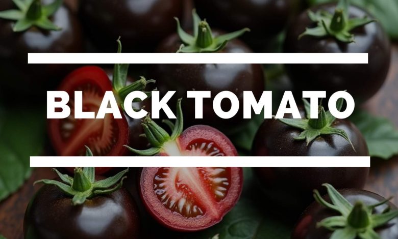 Are black tomatoes genetically modified