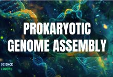 Prokaryotic Genome Assembly