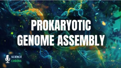 Prokaryotic Genome Assembly