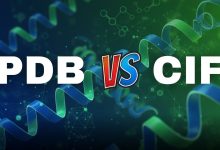 PDB vs. CIF A Complete Guide to Structural Biology File Formats