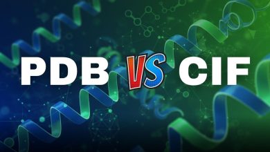 PDB vs. CIF A Complete Guide to Structural Biology File Formats