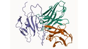 CIF vs. PDB: Understanding the Key Differences - ScienceCodons
