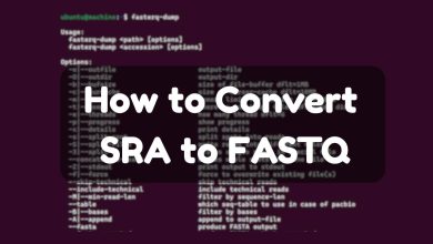 How to Convert SRA to FASTQ